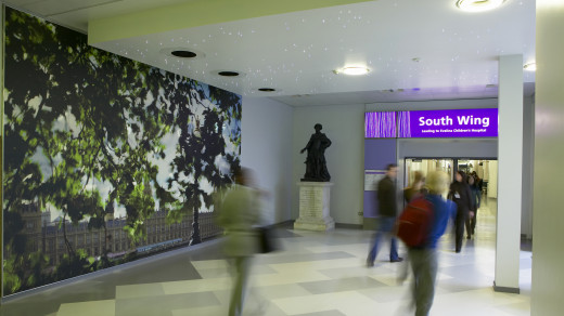 Guy's and St Thomas'